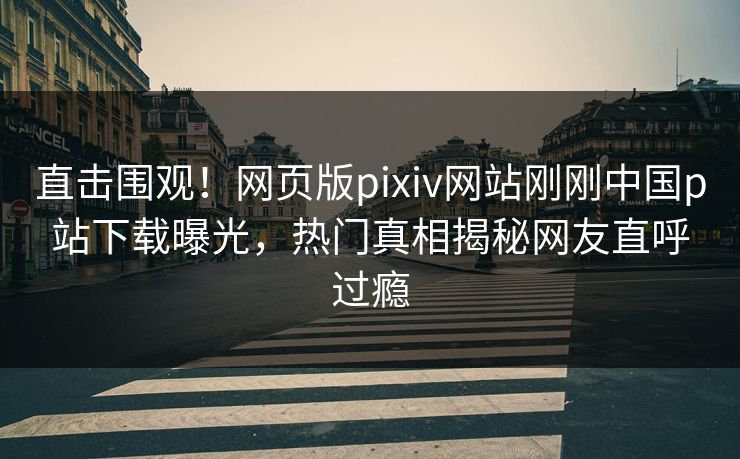 直击围观！网页版pixiv网站刚刚中国p站下载曝光，热门真相揭秘网友直呼过瘾