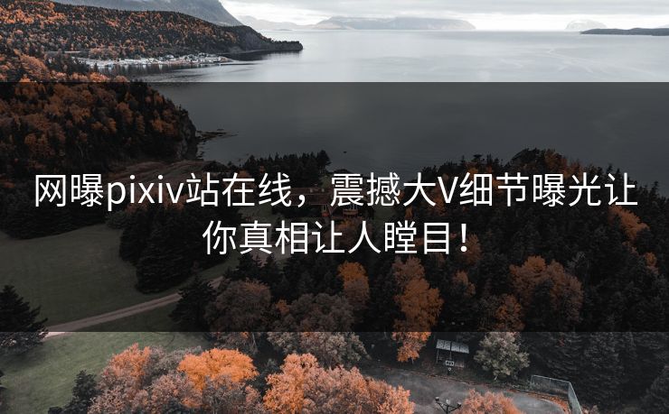 网曝pixiv站在线，震撼大V细节曝光让你真相让人瞠目！