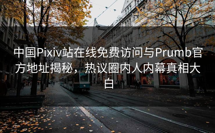 中国Pixiv站在线免费访问与Prumb官方地址揭秘，热议圈内人内幕真相大白