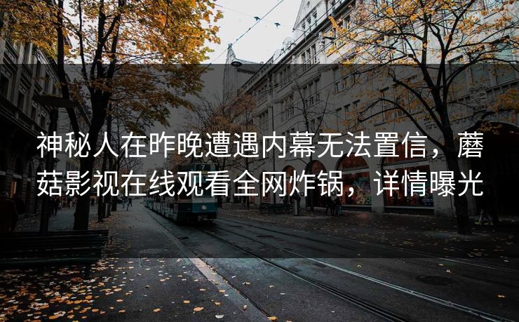 神秘人在昨晚遭遇内幕无法置信，蘑菇影视在线观看全网炸锅，详情曝光