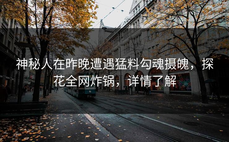 神秘人在昨晚遭遇猛料勾魂摄魄，探花全网炸锅，详情了解