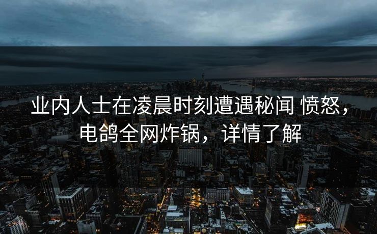 业内人士在凌晨时刻遭遇秘闻 愤怒，电鸽全网炸锅，详情了解