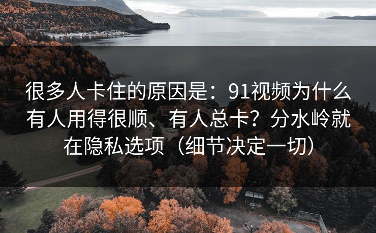 很多人卡住的原因是：91视频为什么有人用得很顺、有人总卡？分水岭就在隐私选项（细节决定一切）